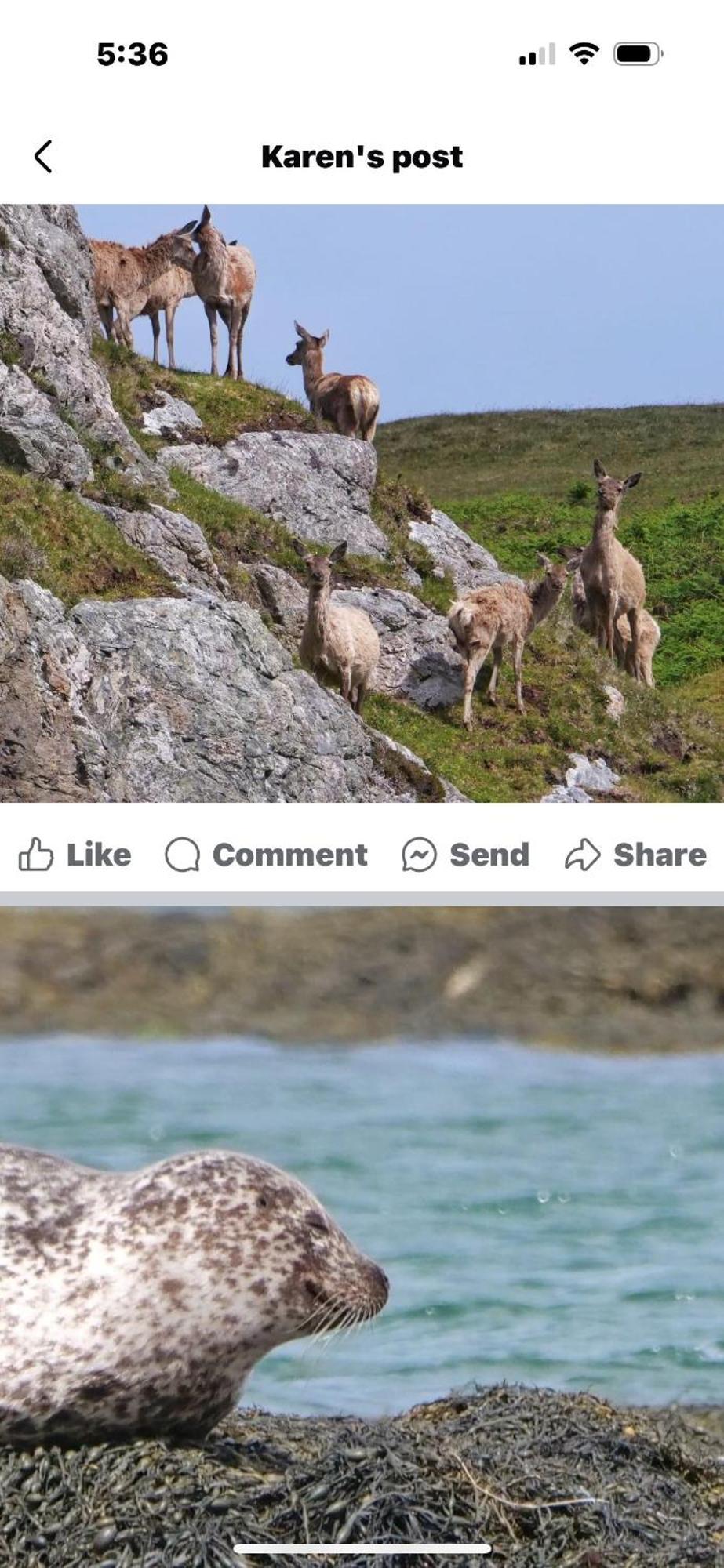 Seas The Day - Self Catering Lodge North Uist Paible Extérieur photo